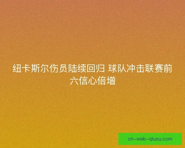 纽卡斯尔伤员陆续回归 球队冲击联赛前六信心倍增 纽卡斯尔伤员陆续回归 球队冲击联赛前六信心倍增
